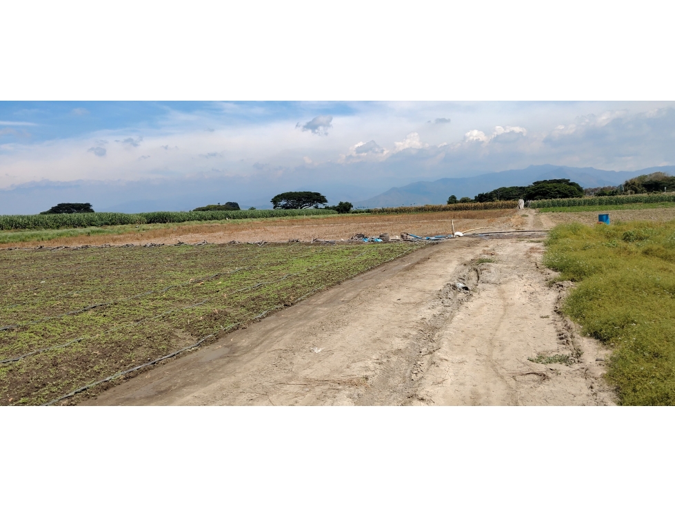 LOTE EN ROZO DE 85.000 M2 EN VENTA — foto 6
