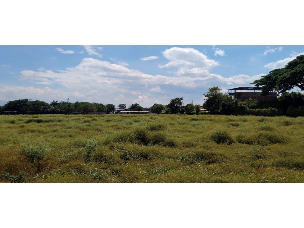LOTE EN ROZO DE 85.000 M2 EN VENTA — foto 2