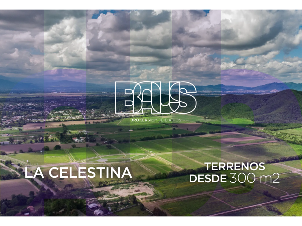 LA CELESTINA - CERRILLOS - 1