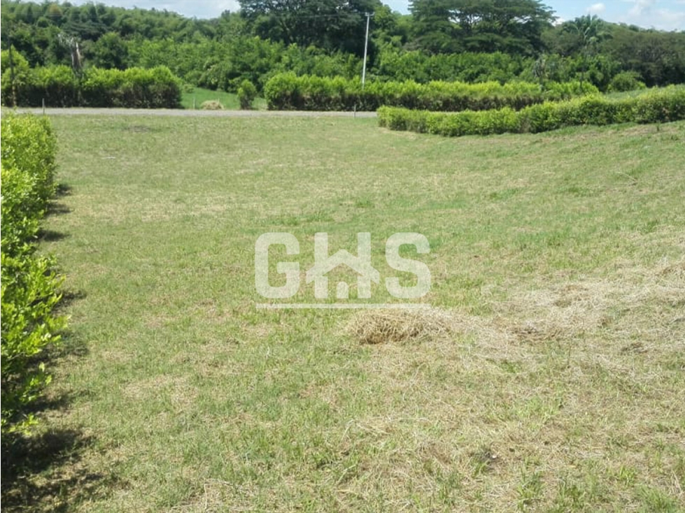 SE VENDE LOTE CAMPESTRE EN VILLA MARIANA VIA CARTAGO - ANSERMANUEVO - 1