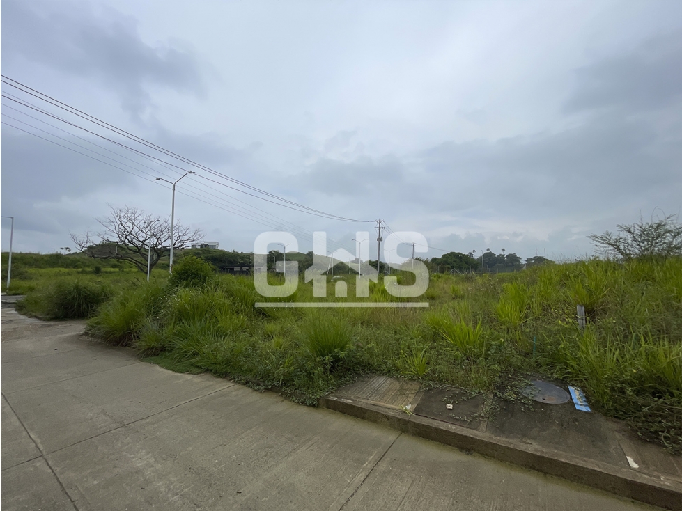 SE VENDE LOTE CAMPESTRE EN BARRIO LIMONAR CARTAGO - 1