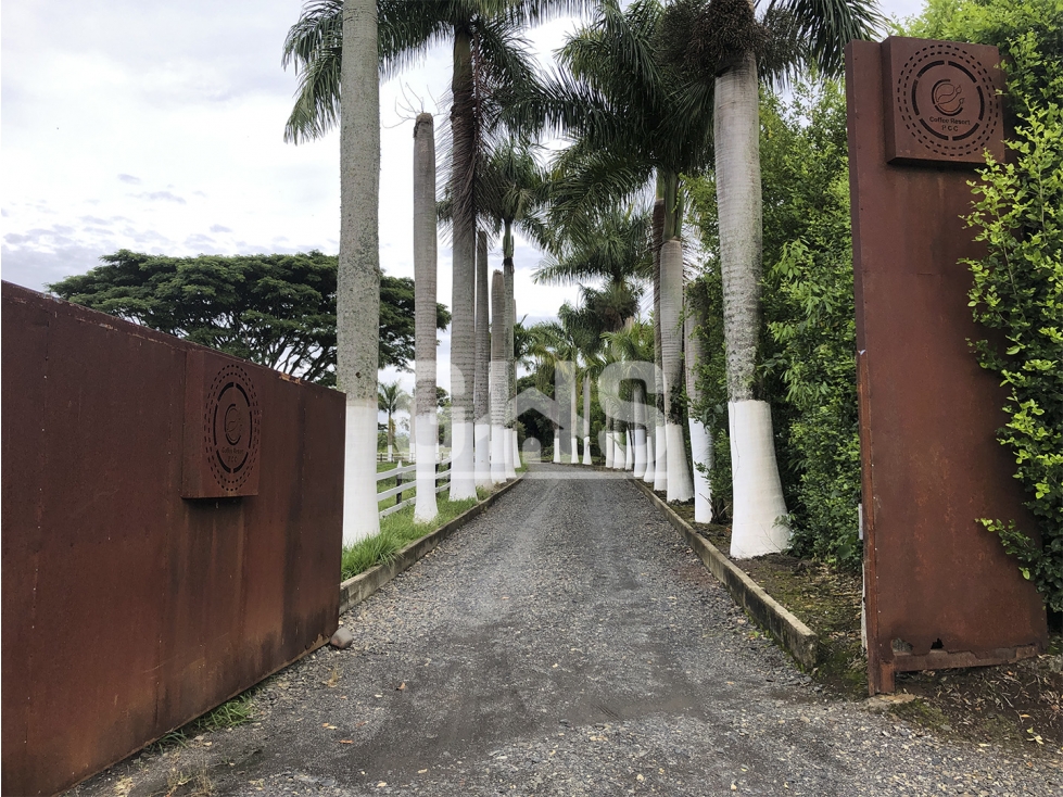 SE VENDE LOTE CAMPESTRE EN COFEE RESORT VIA CARTAGO - ALCALA - 2