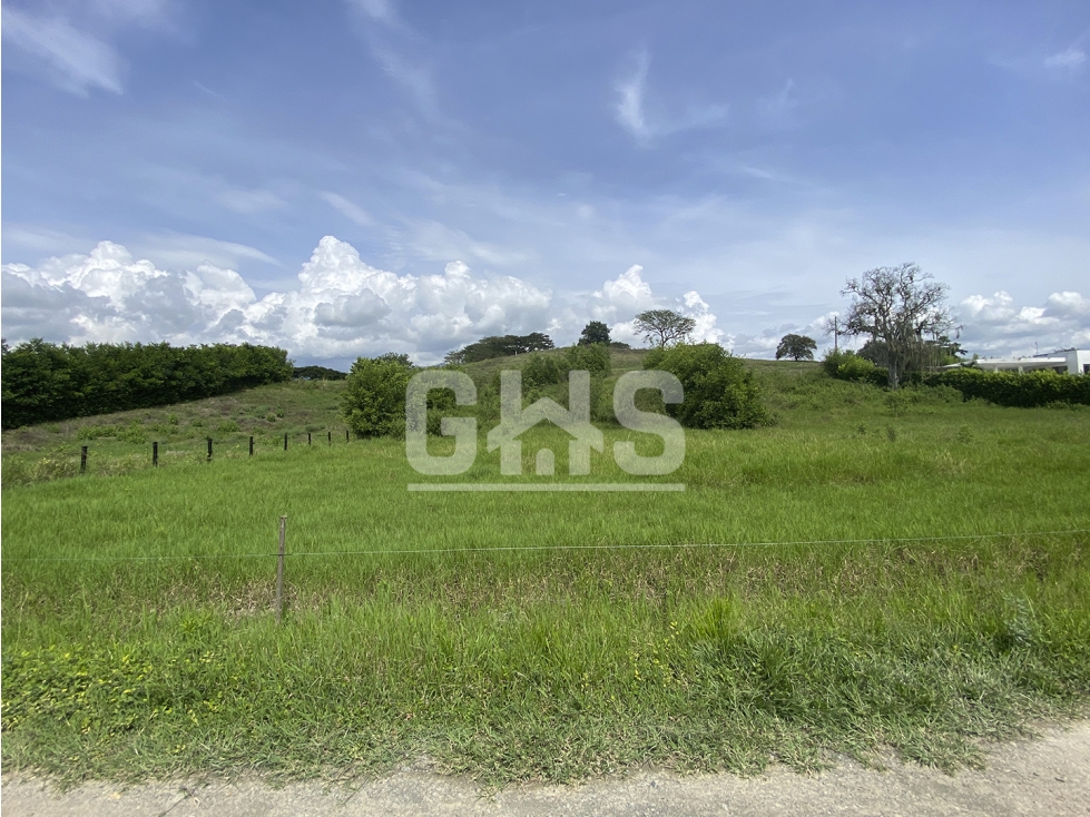 SE VENDE LOTE CAMPESTRE EN VILLA MARIANA VIA CARTAGO - ANSERMANUEVO - 2