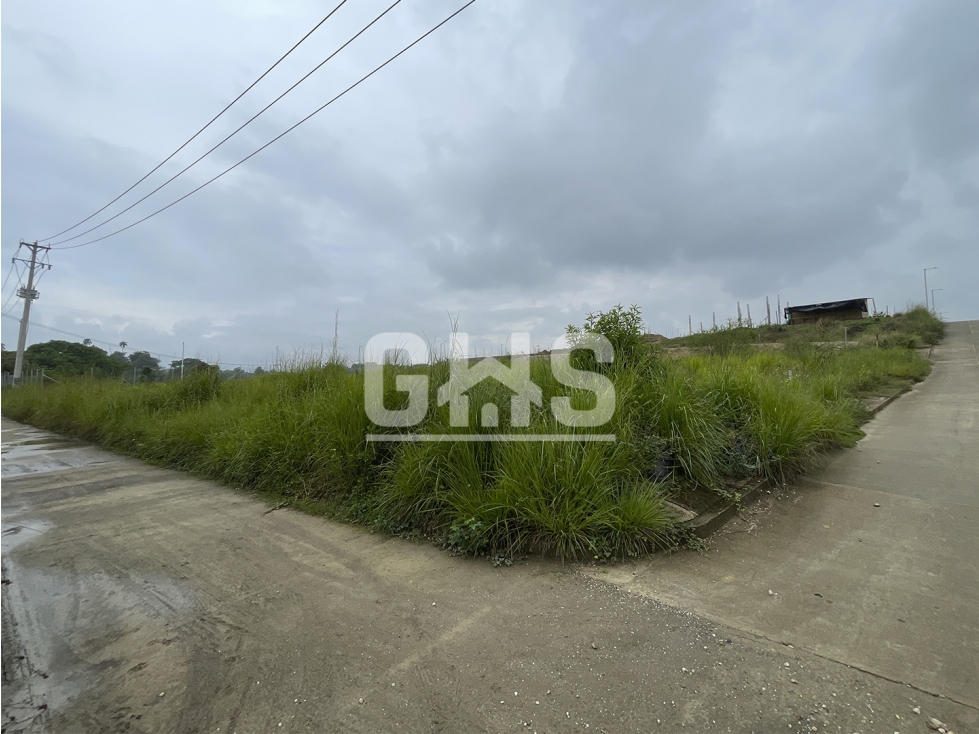 SE VENDE LOTE CAMPESTRE EN BARRIO LIMONAR CARTAGO - 2
