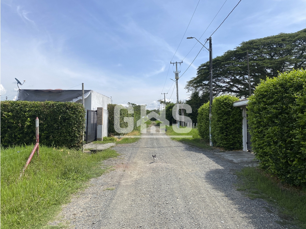 SE VENDE LOTE CAMPESTRE EN VILLA MARIANA VIA CARTAGO - ANSERMANUEVO - 4