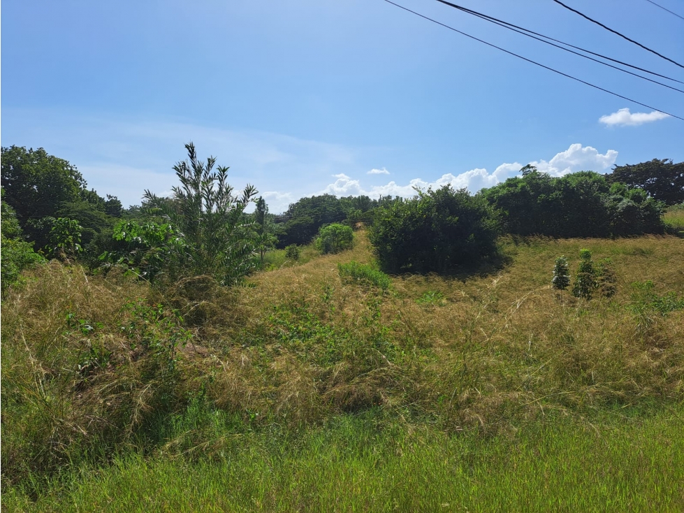 Lote campestre cerca de Coronado - $49/m2 Negociable — foto 2