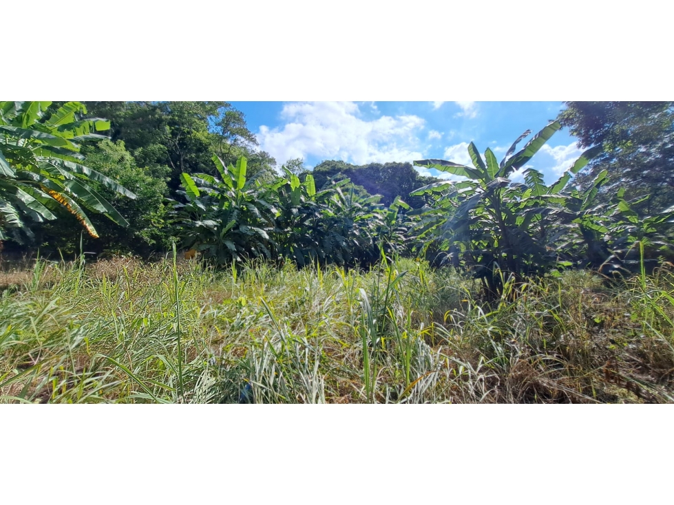 Tereno de bosque tropical montañoso via a Sora