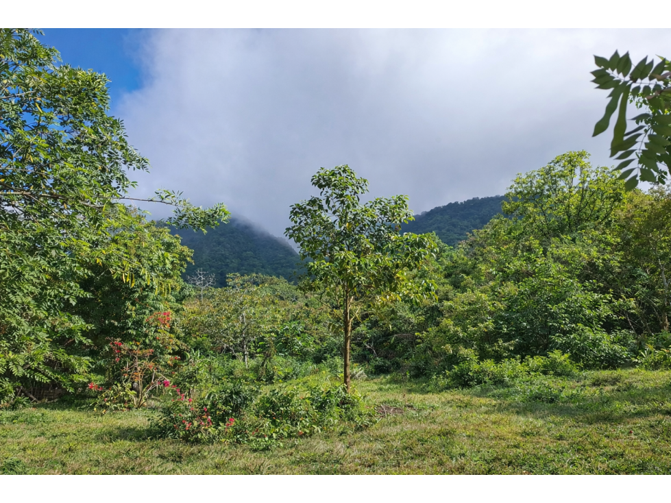 ¡Lote de montaña excepcional en El Valle De Anton! - 1