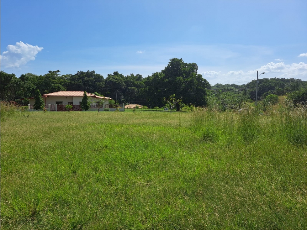Lote campestre cerca de Coronado - $49/m2 Negociable — foto 3