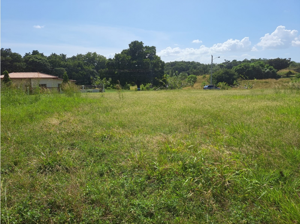 Lote campestre cerca de Coronado - $49/m2 Negociable — foto 4