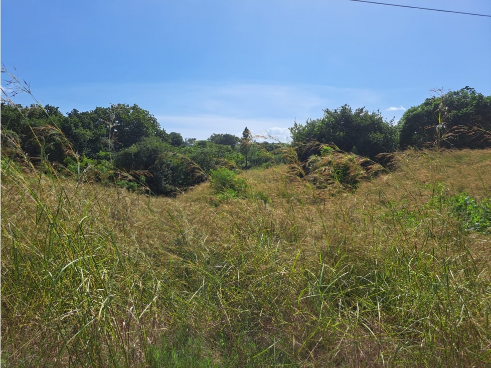 Lote campestre cerca de Coronado - $49/m2 Negociable — foto 5