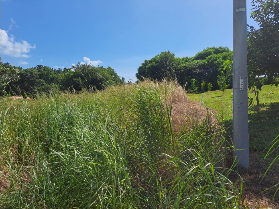 Lote campestre cerca de Coronado - $49/m2 Negociable — foto 6