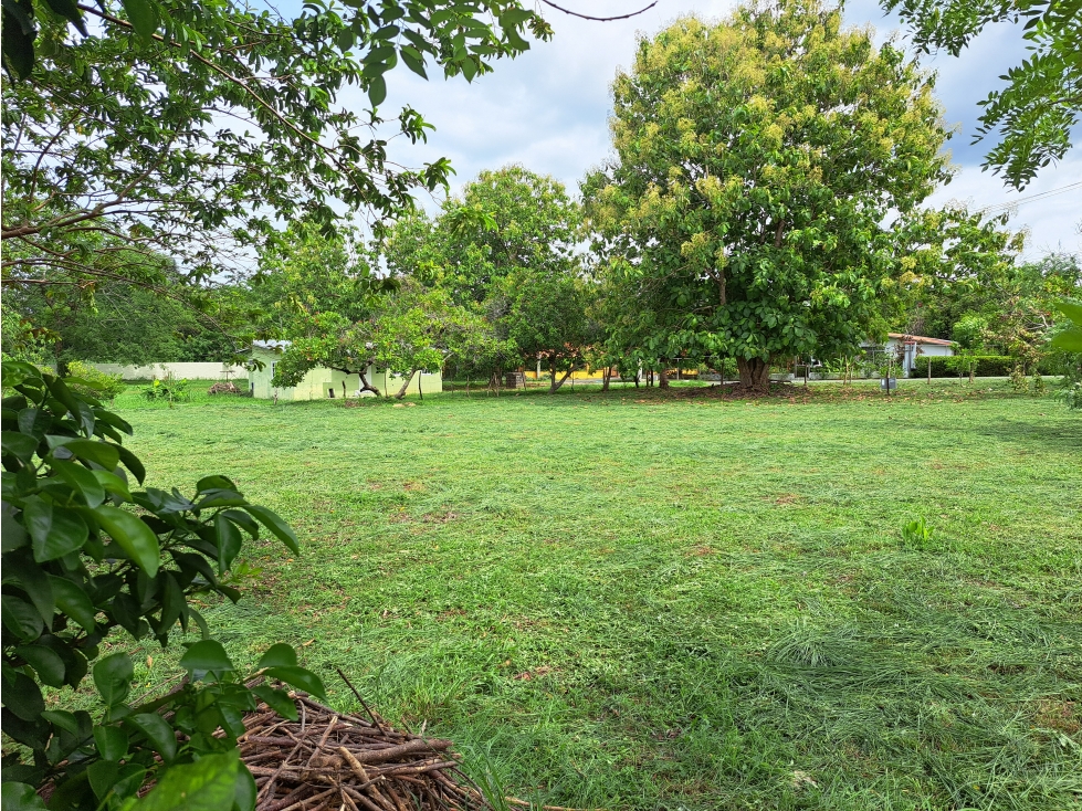 Villas Campestres - Lote - Excelente ubicación y árboles maduros! — foto 2