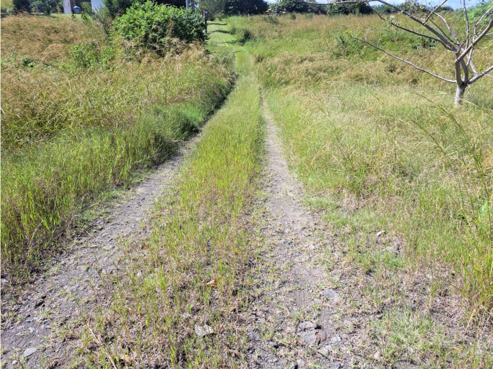 Lote campestre cerca de Coronado - $49/m2 Negociable