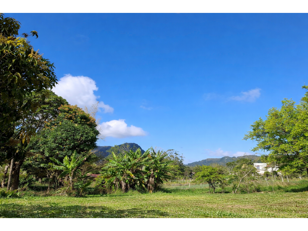 ¡Lote de montaña excepcional en El Valle De Anton! - 2