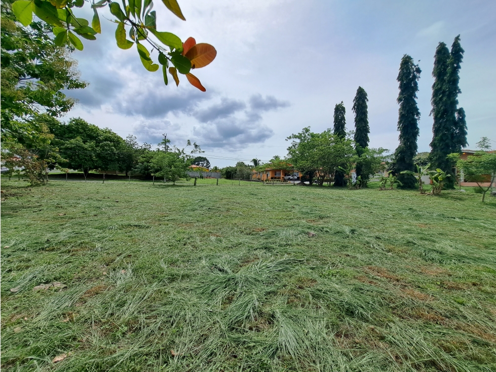 Villas Campestres - Lote - Excelente ubicación y árboles maduros! — foto 4