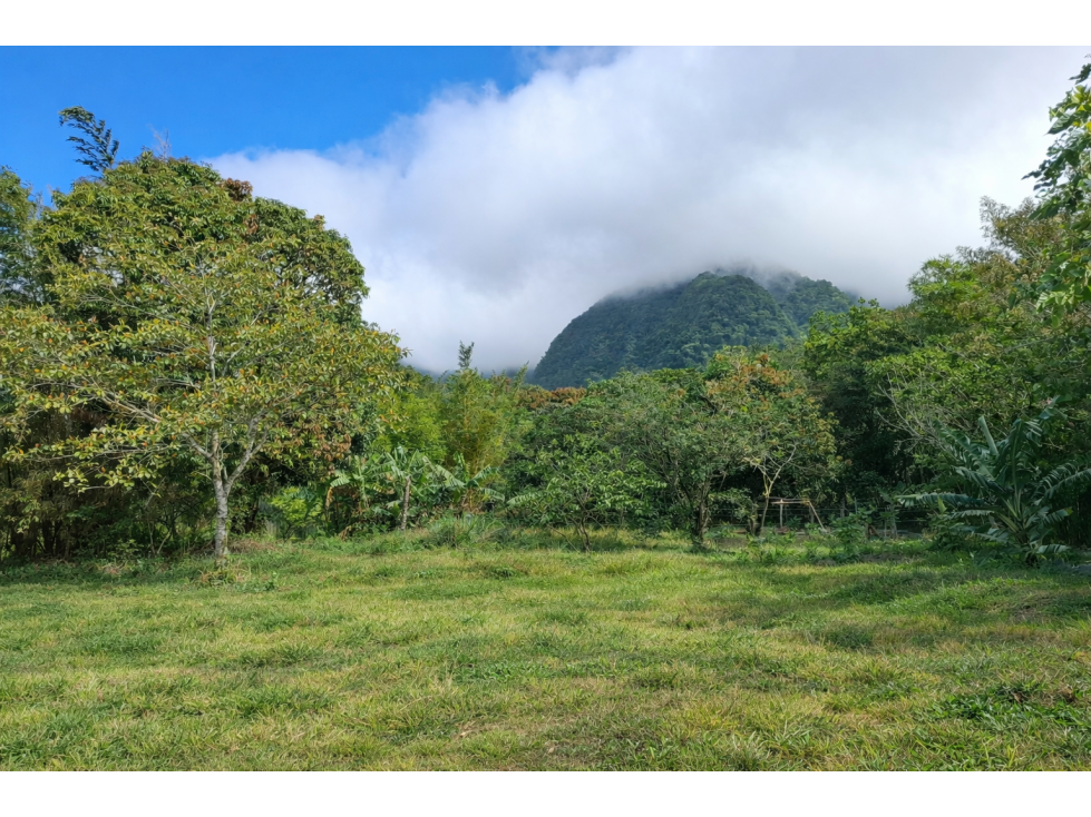 ¡Lote de montaña excepcional en El Valle De Anton! - 3