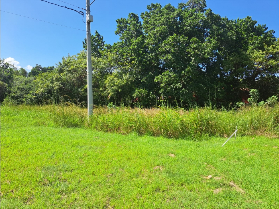 Lote campestre a 4 km de Coronado - $27/m2 Negociable - 3