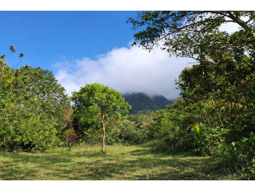 ¡Lote de montaña excepcional en El Valle De Anton! - 4