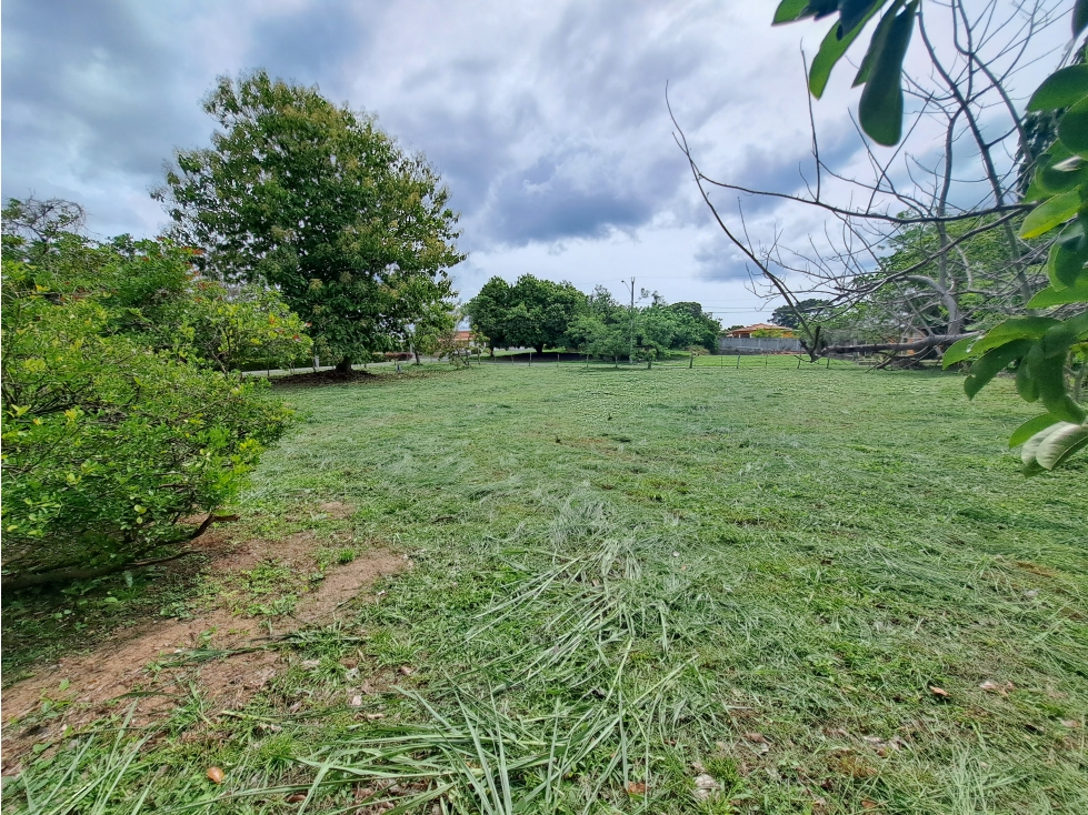 Villas Campestres - Lote - Excelente ubicación y árboles maduros! — foto 6