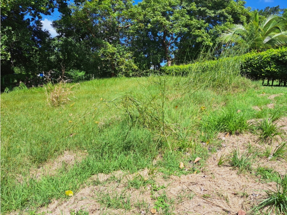 Lote campestre a 4 km de Coronado - $27/m2 Negociable - 4
