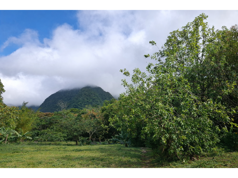 ¡Lote de montaña excepcional en El Valle De Anton! - 5