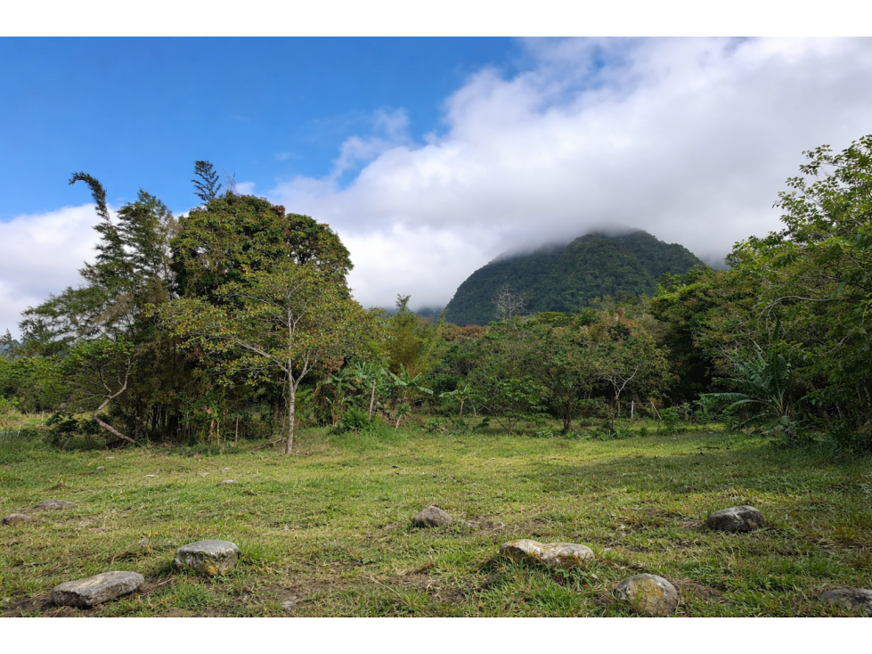¡Lote de montaña excepcional en El Valle De Anton! - 6