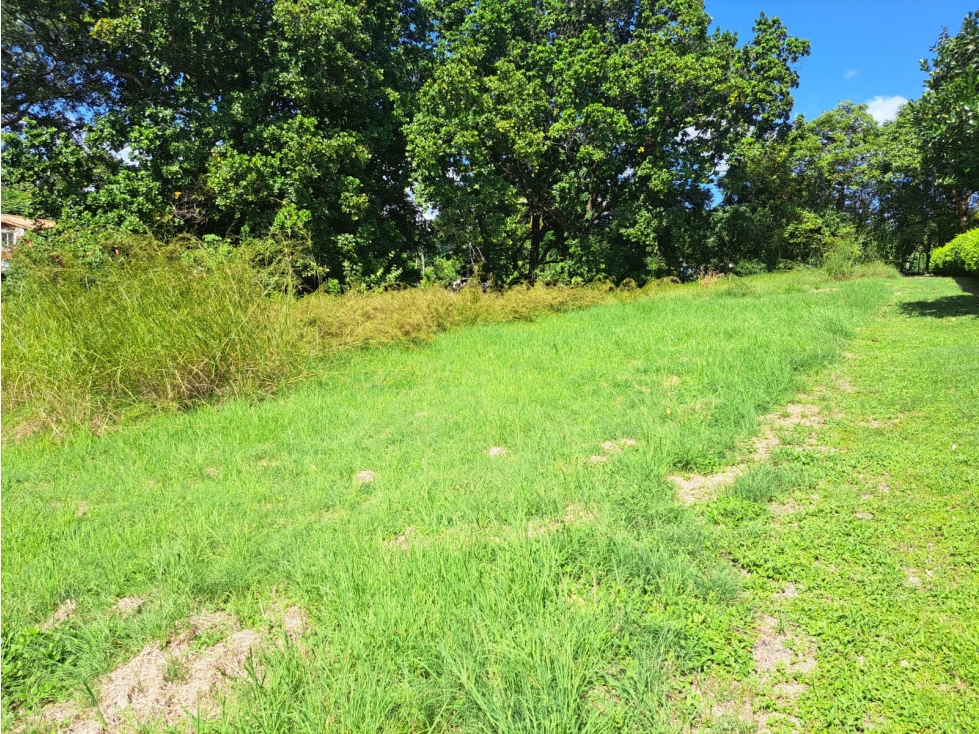 Lote campestre a 4 km de Coronado - $27/m2 Negociable - 6