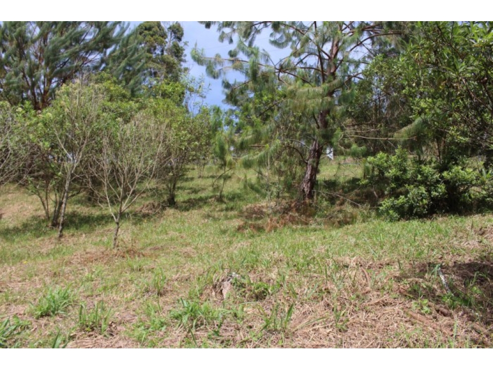 LOTE EN EL RETIRO VIA DON DIEGO LA CEJA