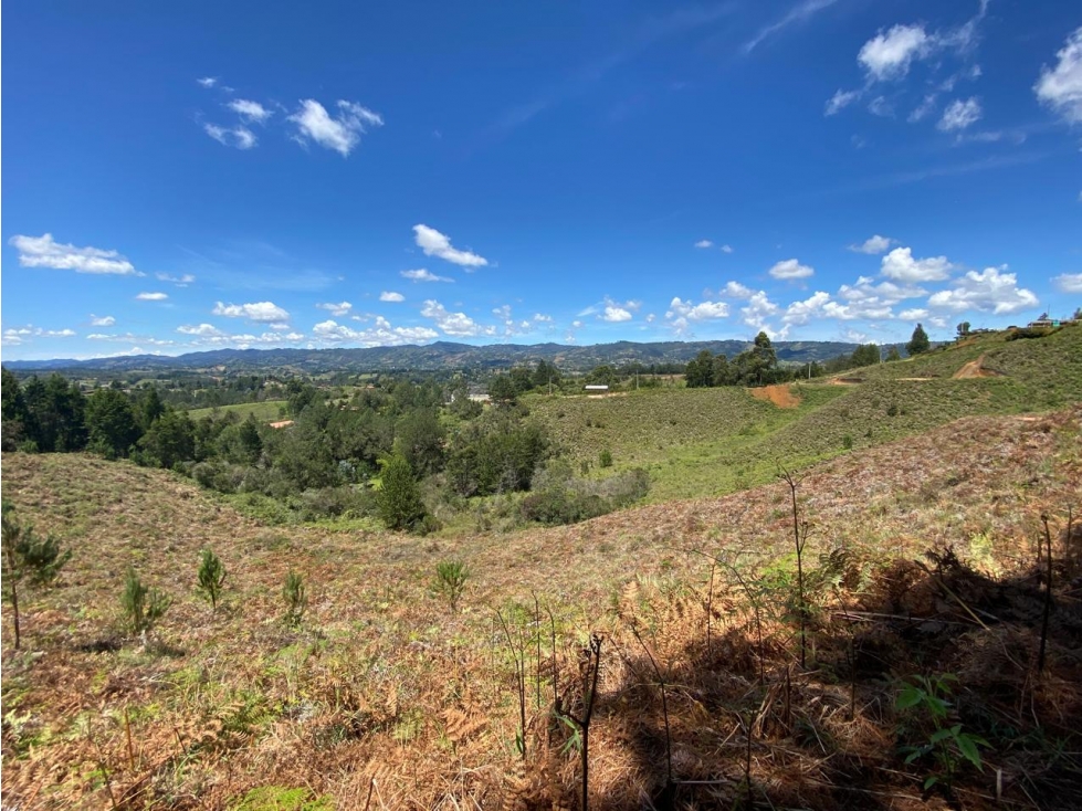 LOTE EN GUARNE VEREDA BELLAVISTA SECTOR EL COLORADO — foto 2