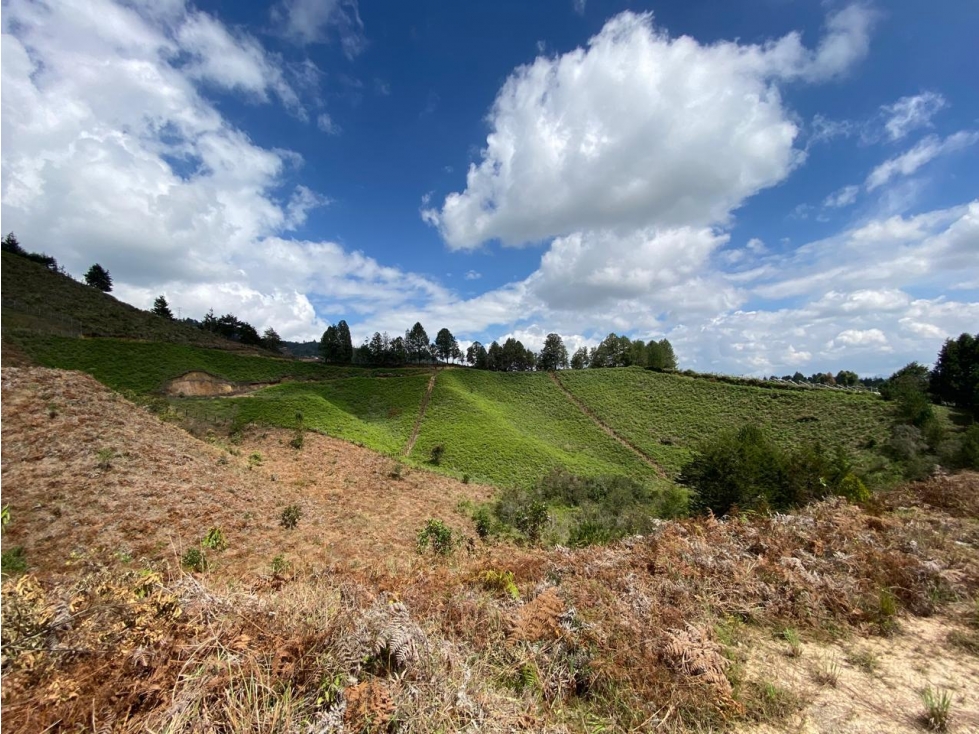LOTE EN GUARNE VEREDA BELLAVISTA SECTOR EL COLORADO
