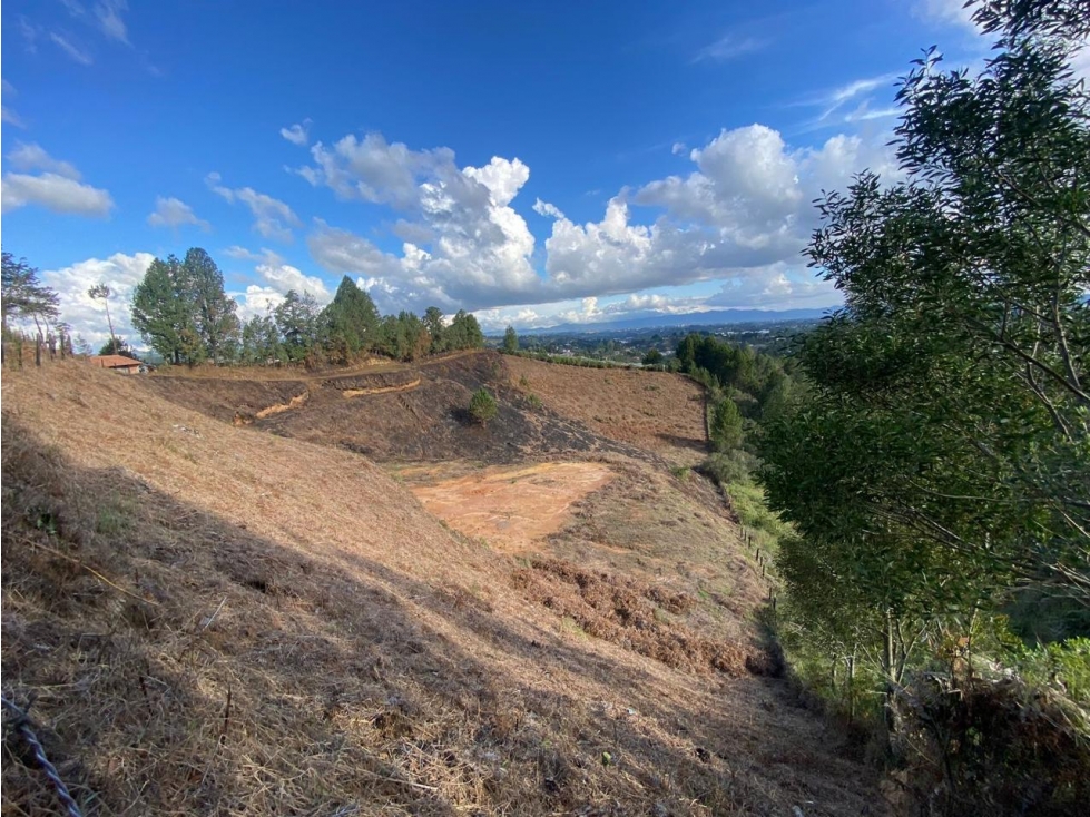LOTE EN GUARNE VEREDA BELLAVISTA SECTOR EL COLORADO — foto 5