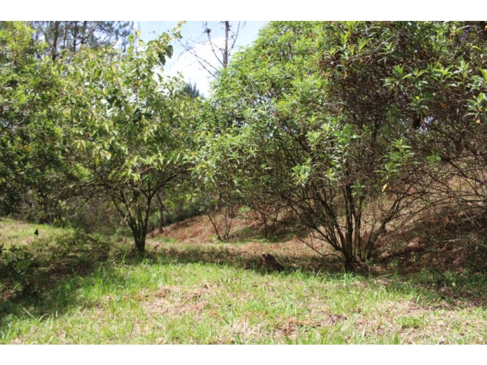LOTE EN EL RETIRO VIA DON DIEGO LA CEJA — foto 4