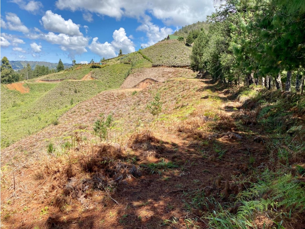 LOTE EN GUARNE VEREDA BELLAVISTA SECTOR EL COLORADO — foto 4