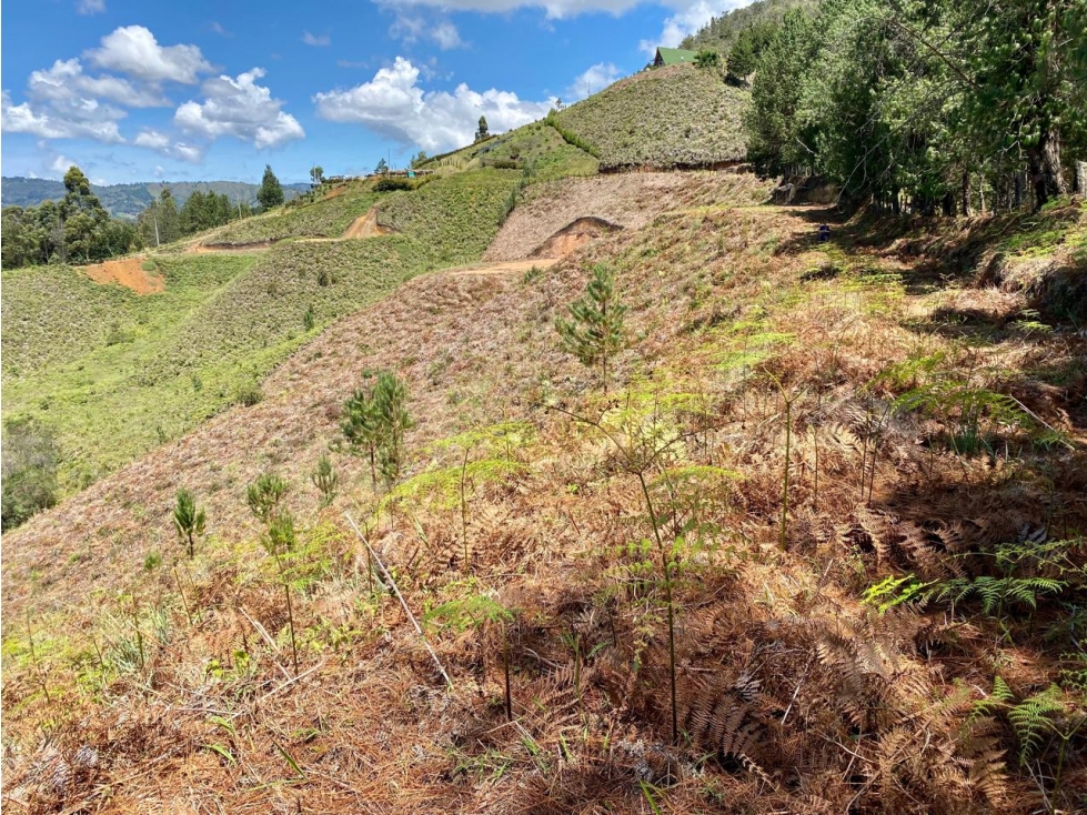 LOTE EN GUARNE VEREDA BELLAVISTA SECTOR EL COLORADO — foto 3