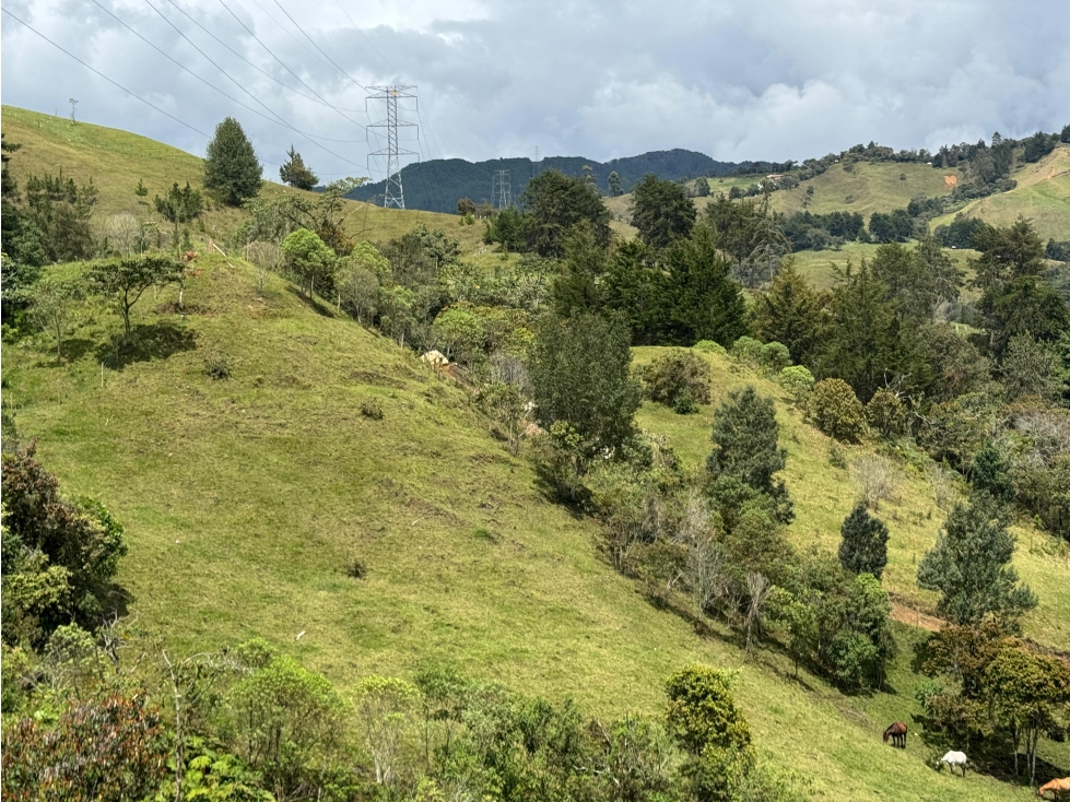 lotes en venta en el retiro