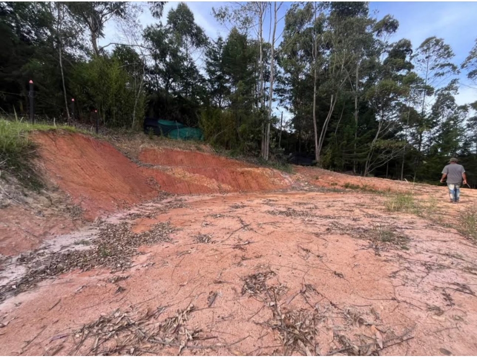 lote en venta en yolombal