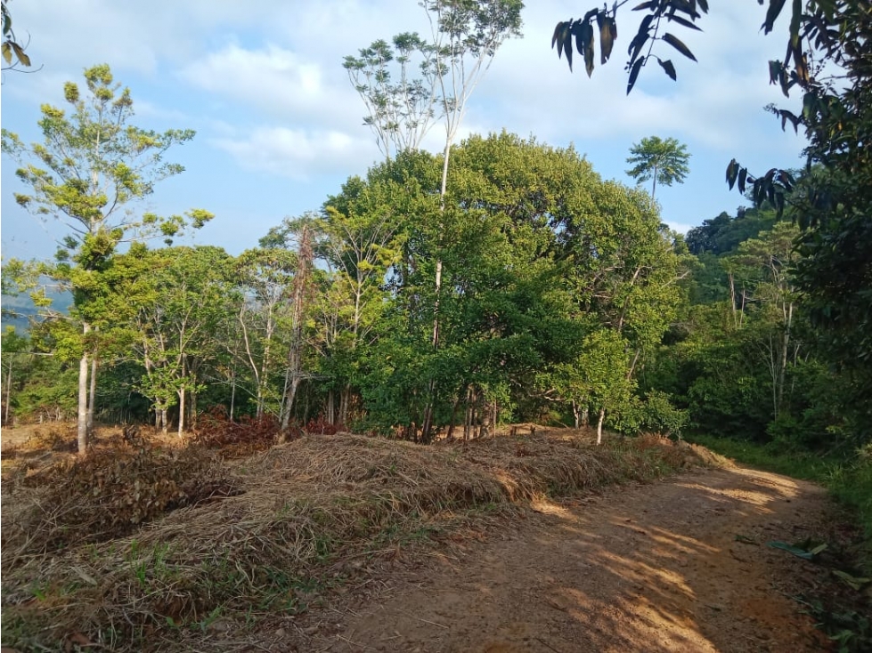 Lote en venta en San Rafael - 2
