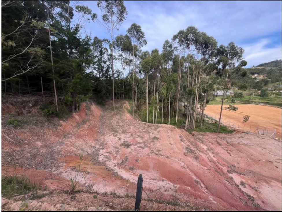 lote en venta en yolombal — foto 2