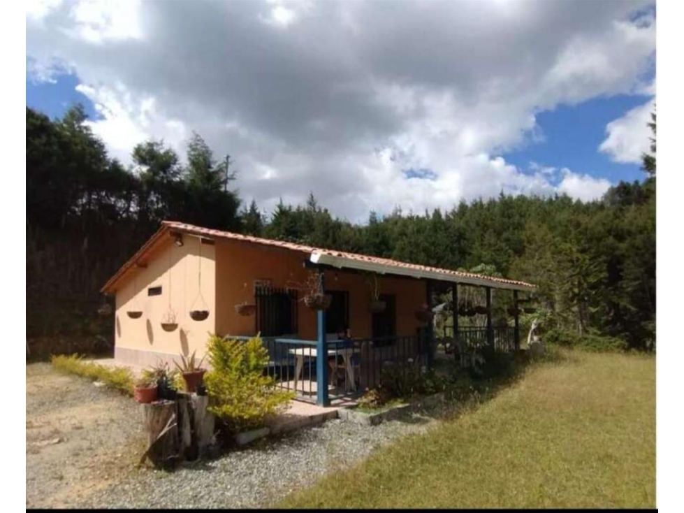 Finca en Venta en Guarne - Vereda La Pastorcita — foto 2