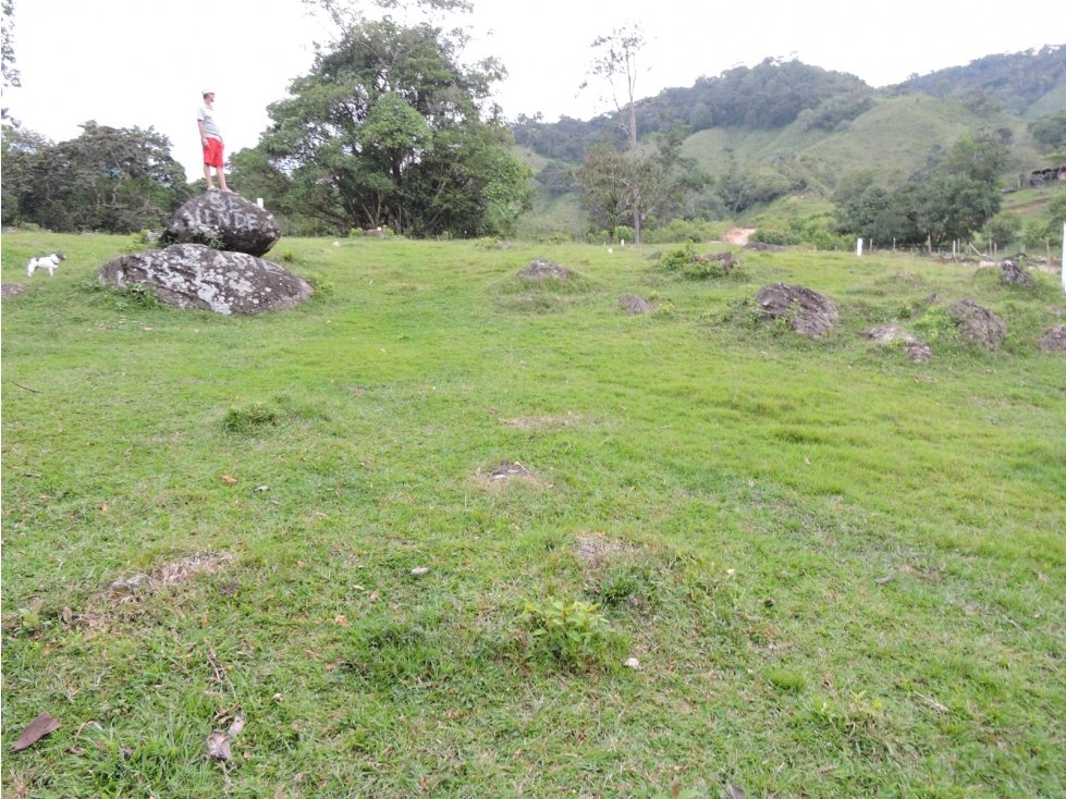 lotes en venta san rafael - 4
