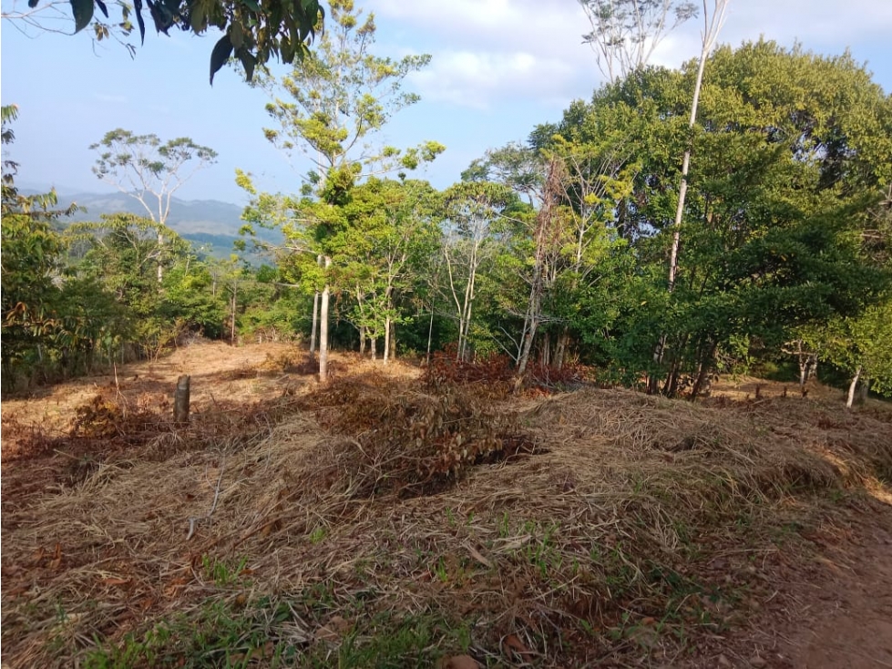 Lote en venta en San Rafael - 4