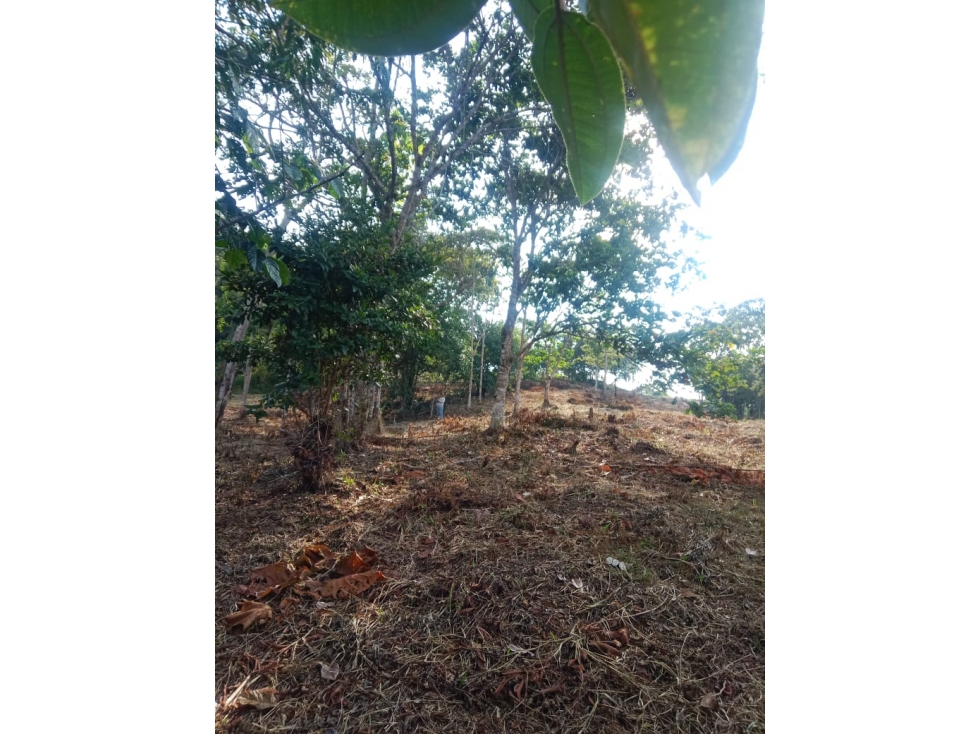 Lote en venta en San Rafael - 5