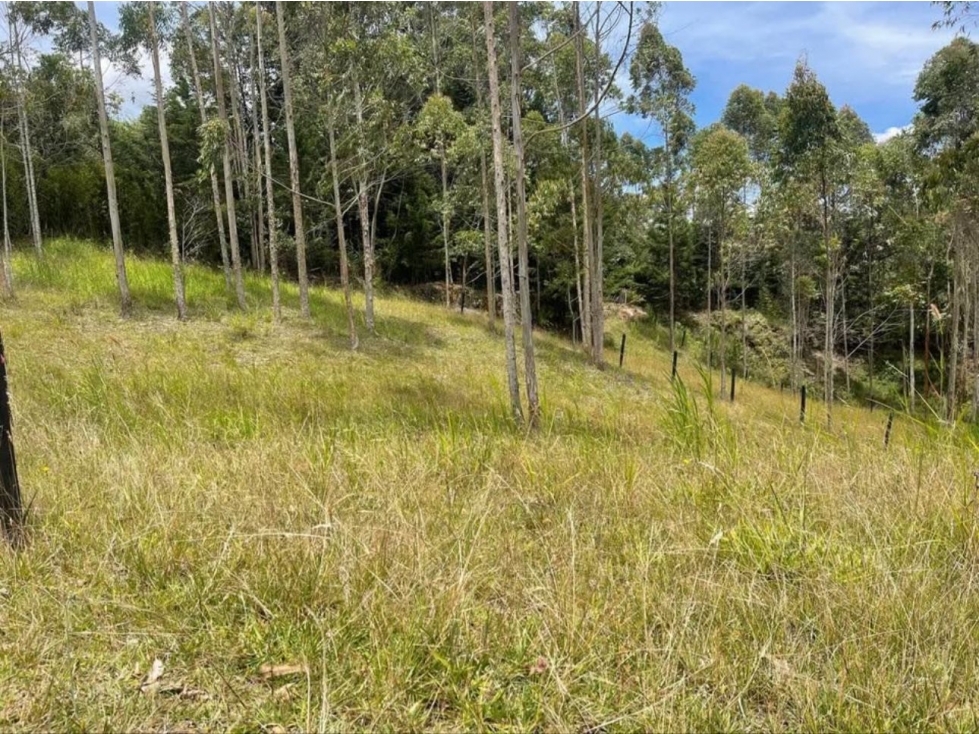 lote en venta en yolombal — foto 5