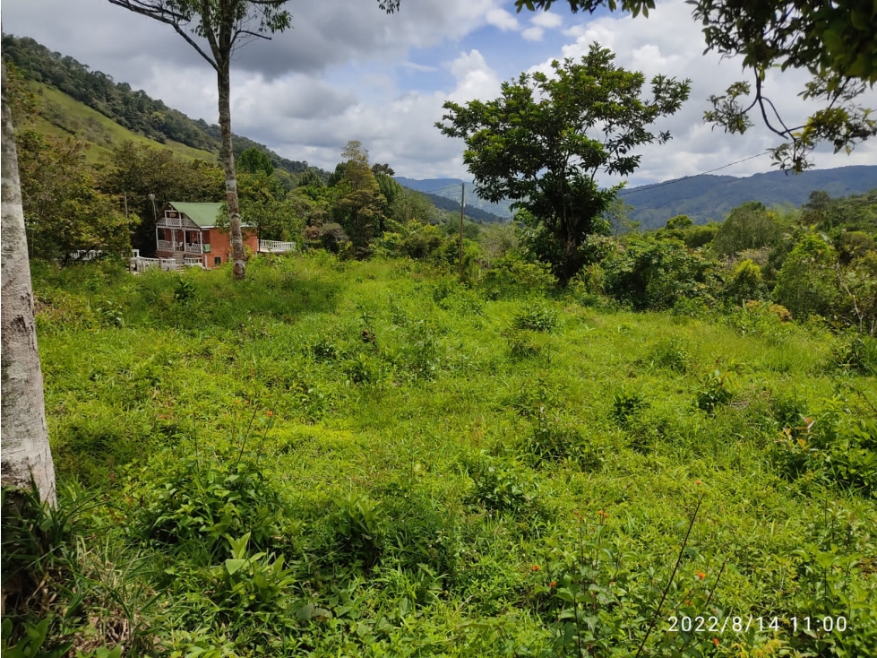 lotes en venta en san rafael - 2