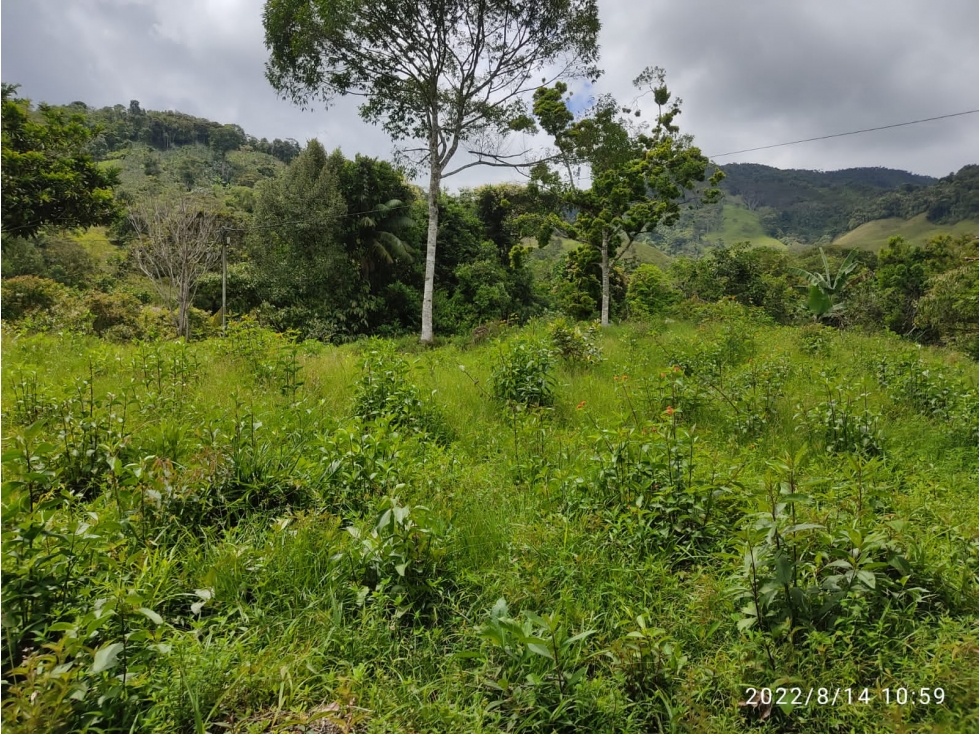 lotes en venta en san rafael - 3