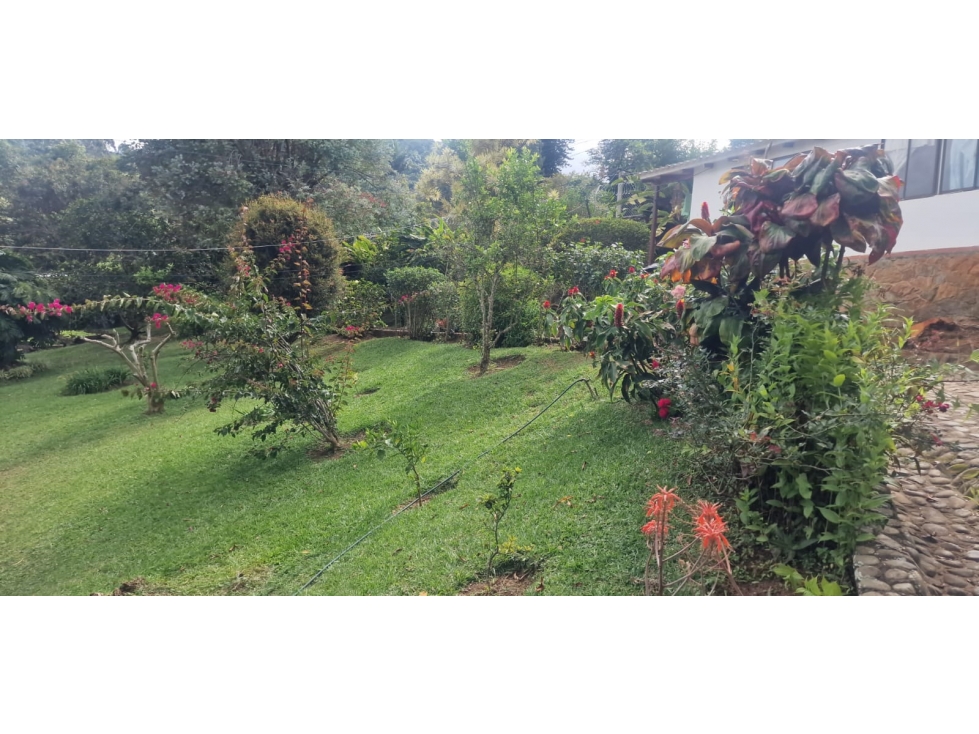 VENDO CASA CAMPESTRE EN EL CORREGIMIENTO LA ELVIRA CALI - 5