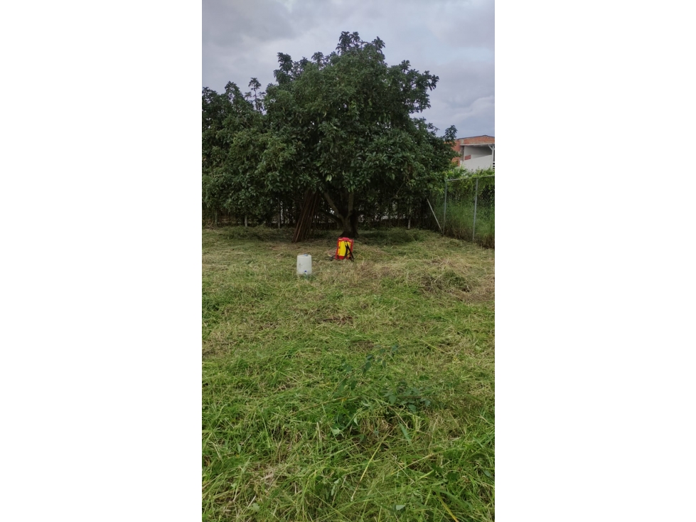 VENDO LOTE DE TERRENO EN ROZO — foto 2