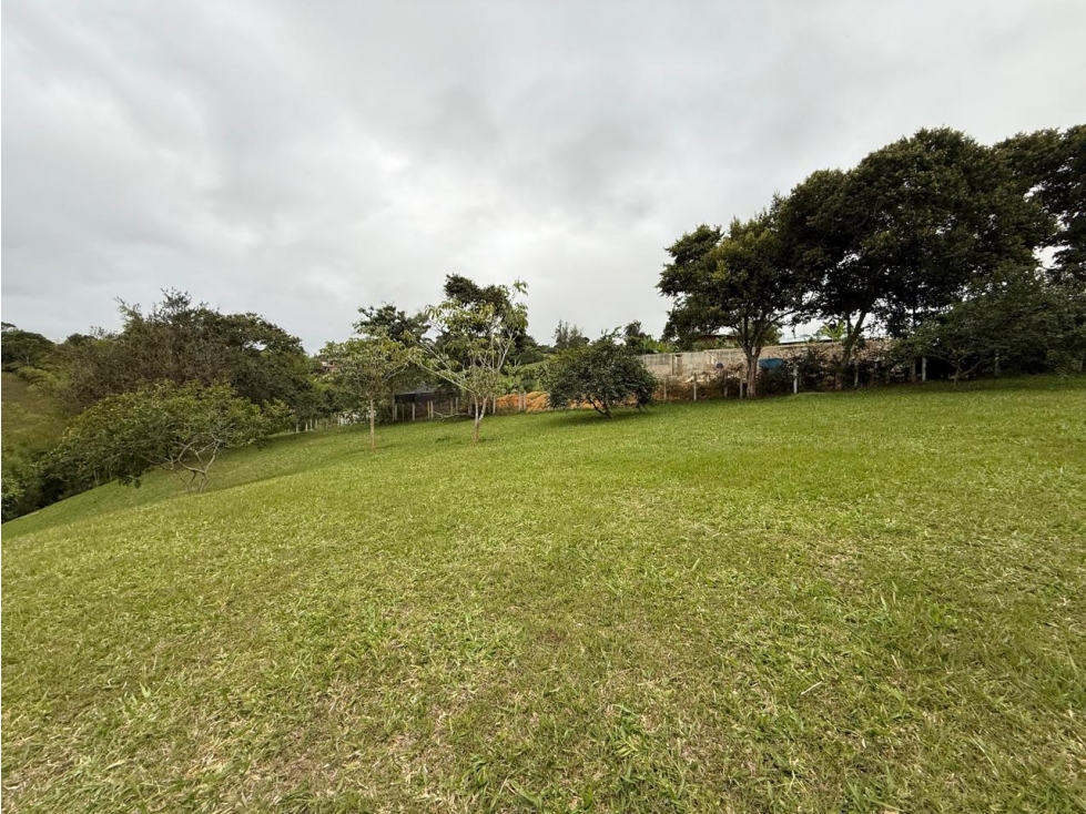 FINCA EN DAGUA - 2