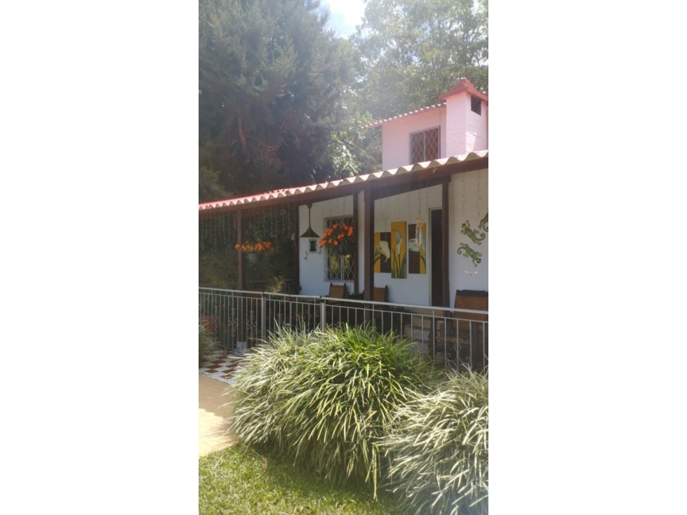 VENDO FINCA EN BORRERO AYERBE — foto 3